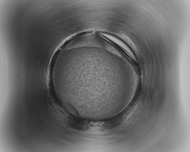 X0000096440484200801241401
