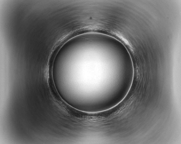 X0000096440486200801241401