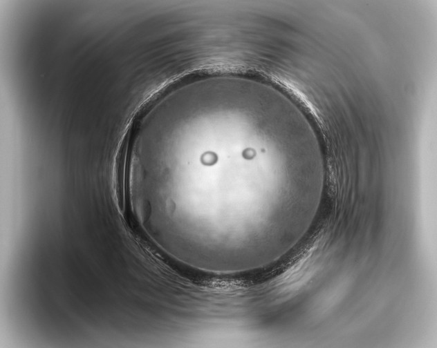 X0000096440487200801241401