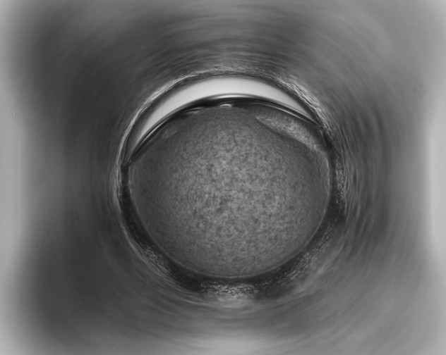 X0000096440488200801241401