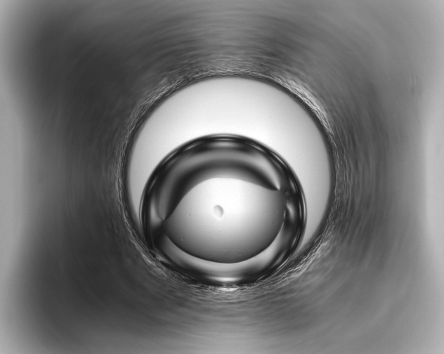 X0000096440489200801241401