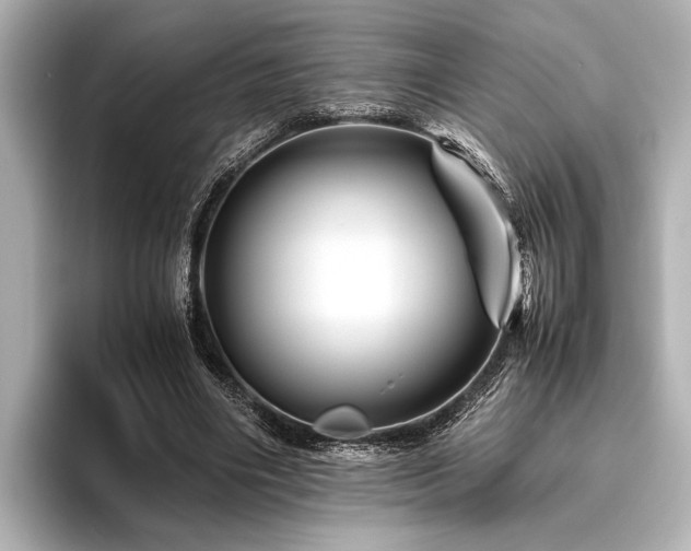 X0000096440490200801241401