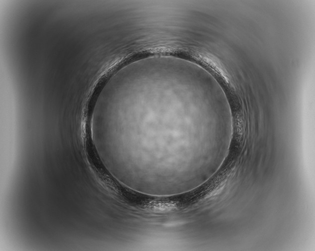 X0000096440491200801241401