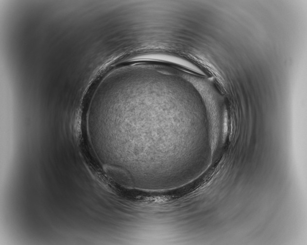 X0000096440492200801241401