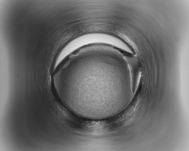 X0000096440493200801241401