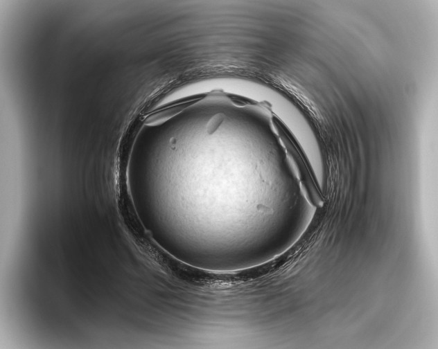X0000096440494200801241401