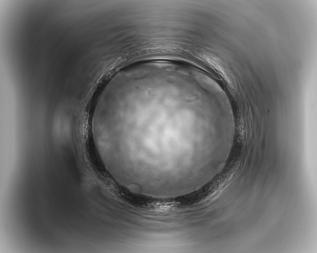X0000096440495200801241401