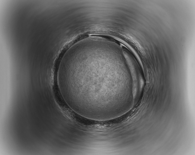 X0000096440496200801241401