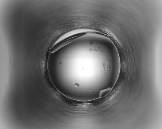X0000096440497200801241401