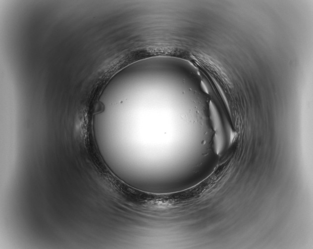 X0000096440498200801241401