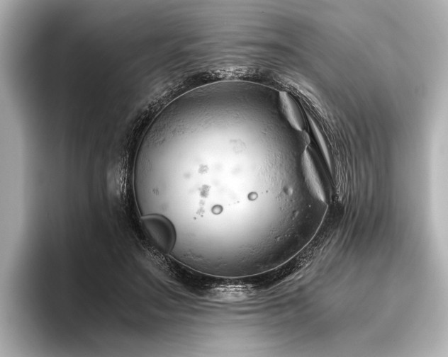 X0000096440499200801241401
