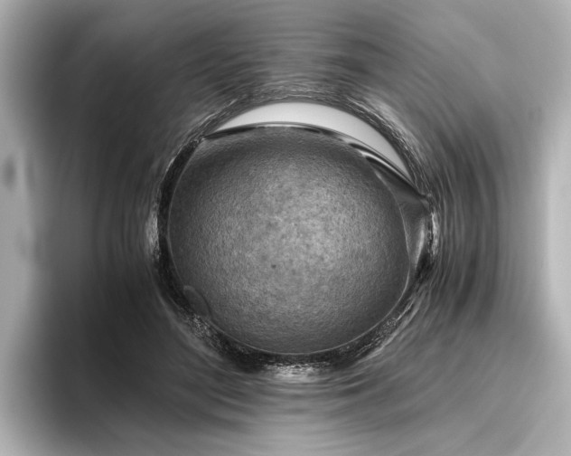 X0000096440500200801241401