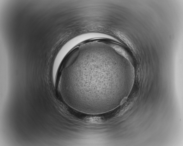 X0000096440501200801241401