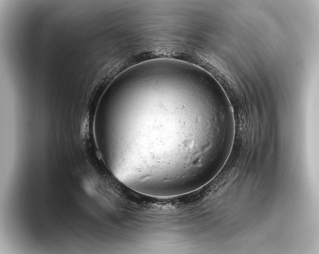 X0000096440502200801241401