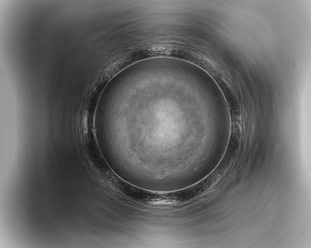 X0000096440504200801241401