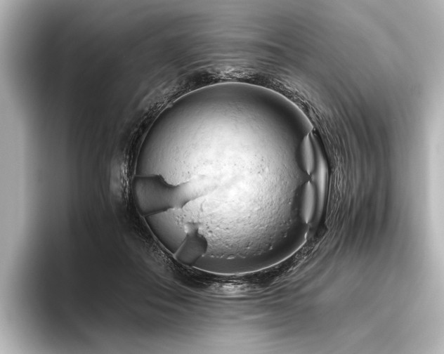 X0000096440506200801241401