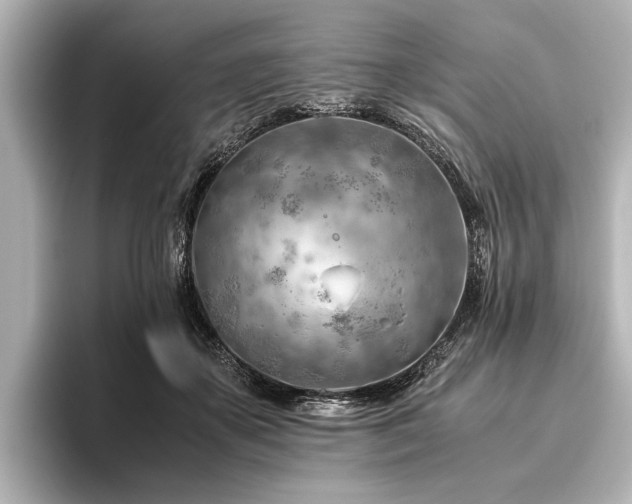 X0000096440507200801241401