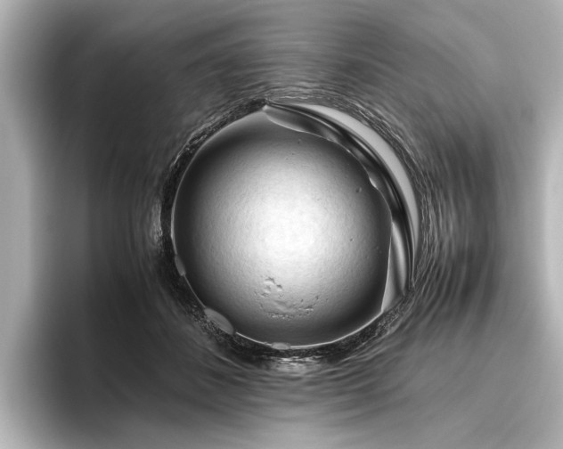 X0000096440508200801241401