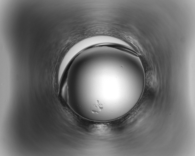 X0000096440509200801241401