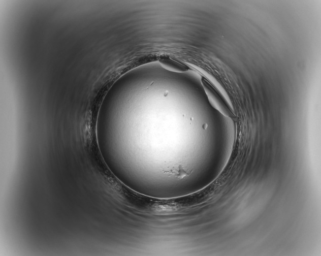 X0000096440510200801241401
