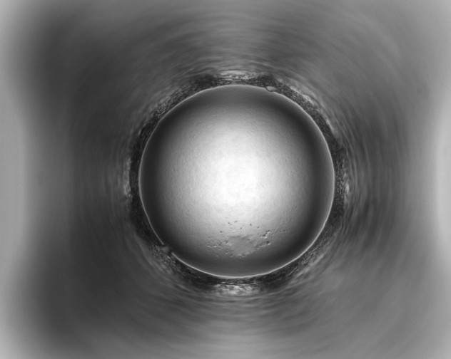 X0000096440512200801241401