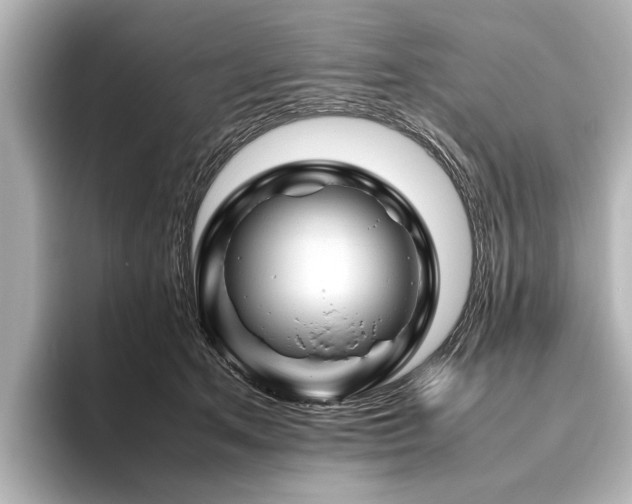 X0000096440513200801241401