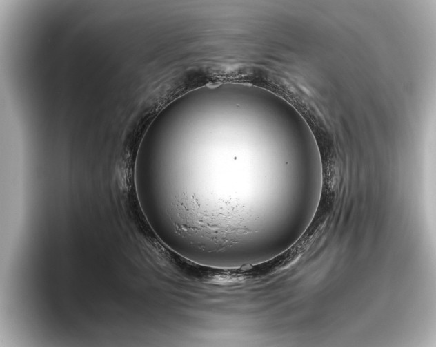 X0000096440515200801241401