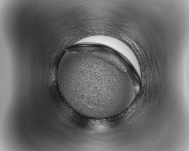 X0000096440517200801241401