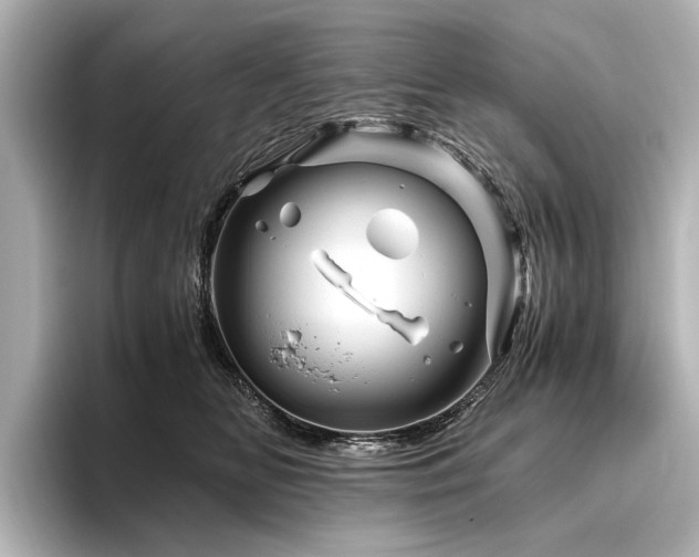 X0000096440518200801241401