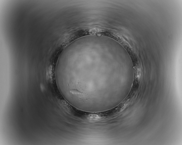 X0000096440519200801241401