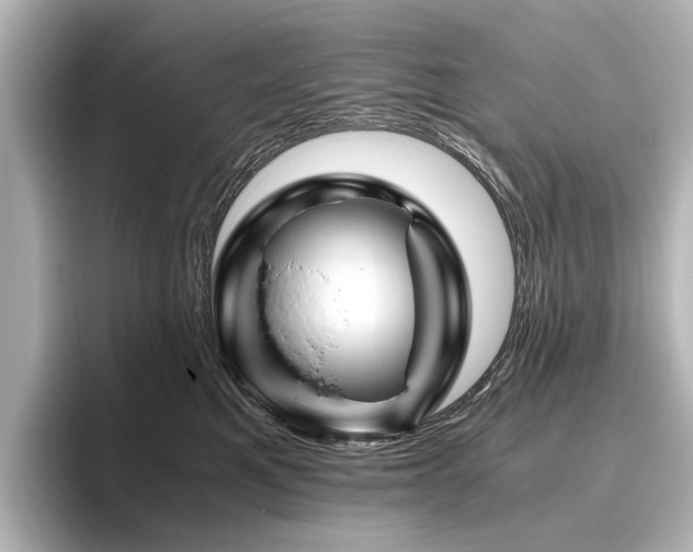 X0000096440521200801241401