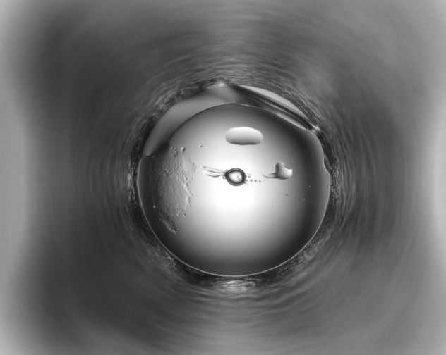 X0000096440522200801241401