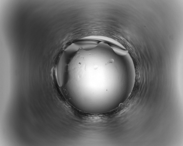 X0000096440523200801241401