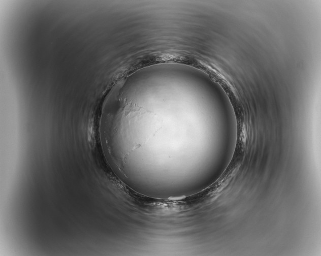 X0000096440524200801241401