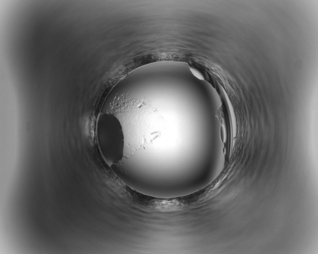 X0000096440525200801241401
