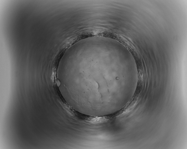 X0000096440527200801241401