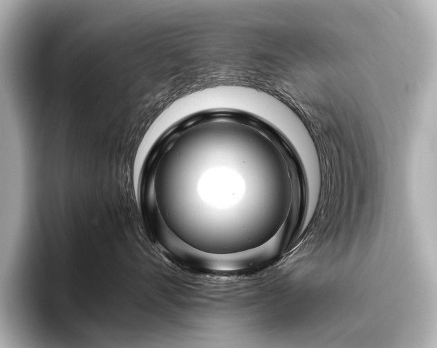 X0000096440528200801241401