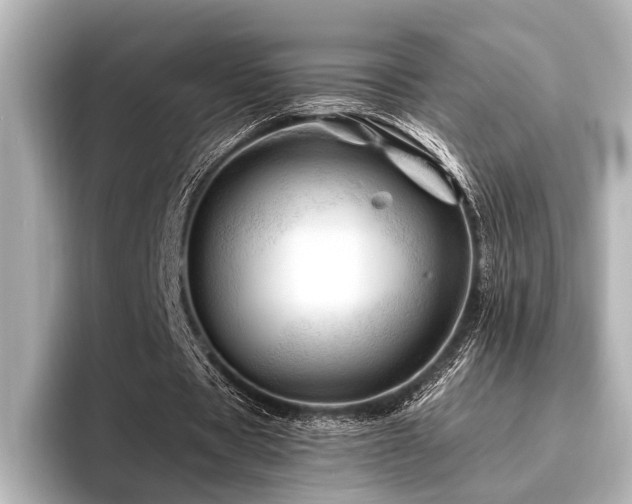 X0000096440529200801241400