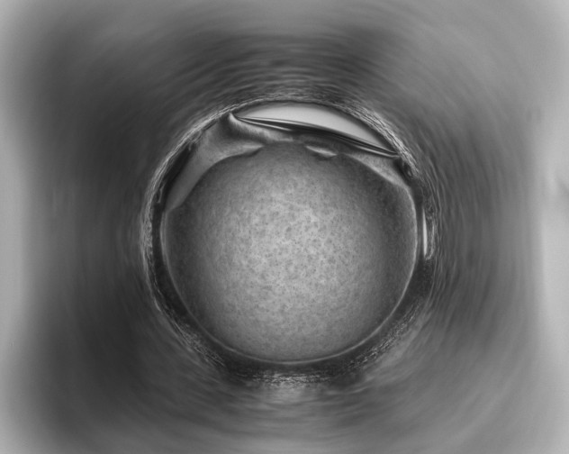 X0000096440531200801241400