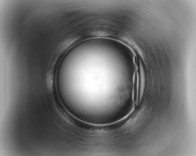 X0000096440533200801241400