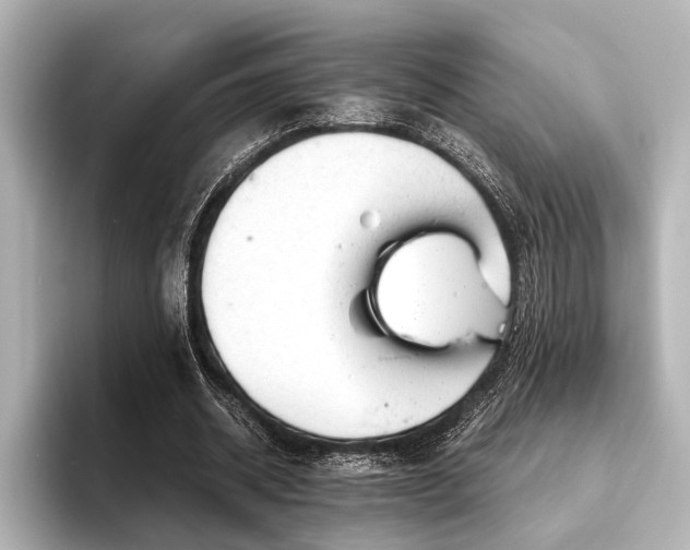 X0000096440534200801241400