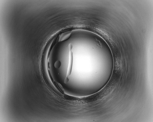 X0000096440535200801241400