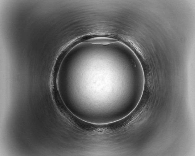 X0000096440536200801241400