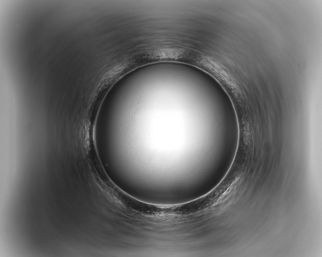 X0000096440537200801241400