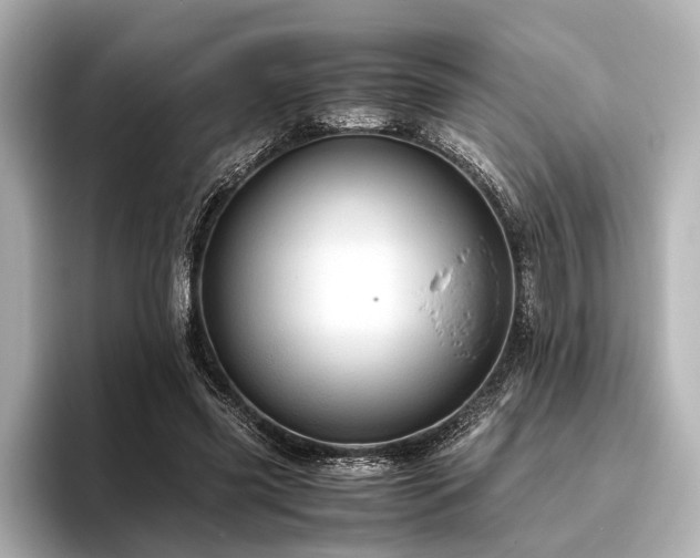 X0000096440541200801241400