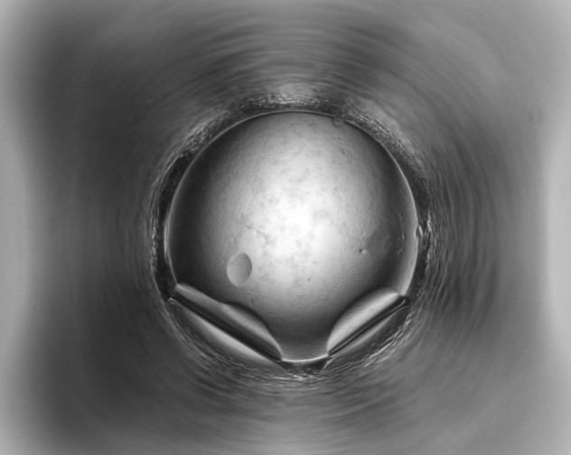 X0000096440542200801241400