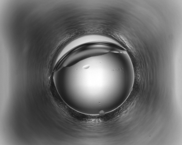 X0000096440543200801241400