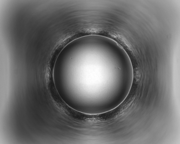 X0000096440544200801241400