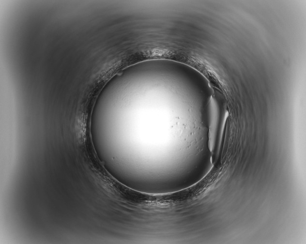X0000096440545200801241400