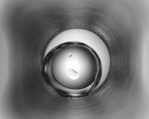 X0000096440546200801241400
